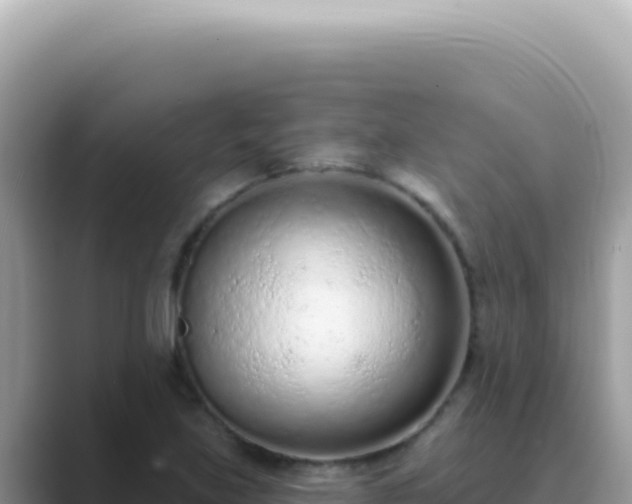 X0000089861219200707051127