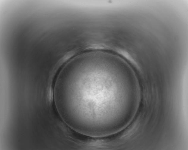 X0000089861221200707051127