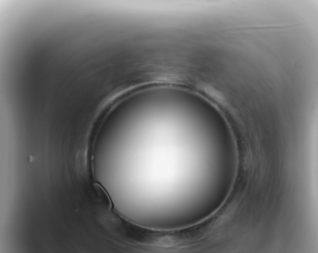 X0000089861222200707051127