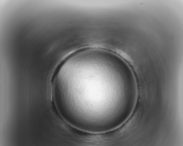 X0000089861223200707051127