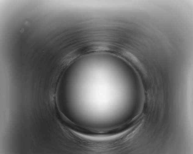 X0000089861225200707051127