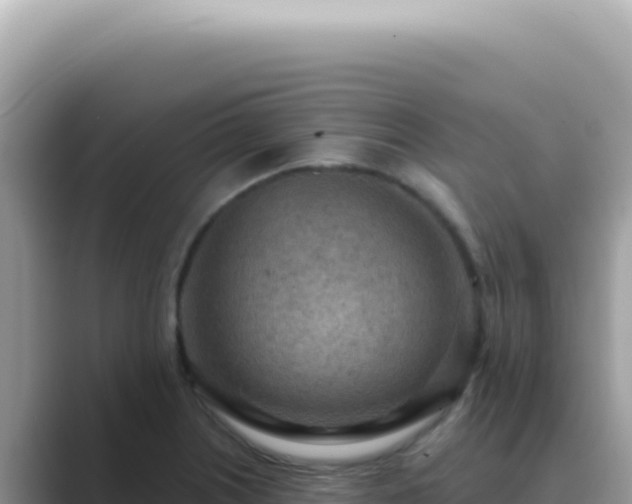 X0000089861226200707051127