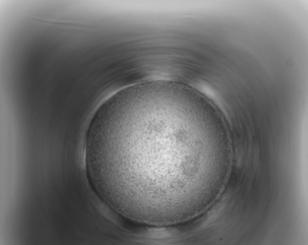 X0000089861227200707051127