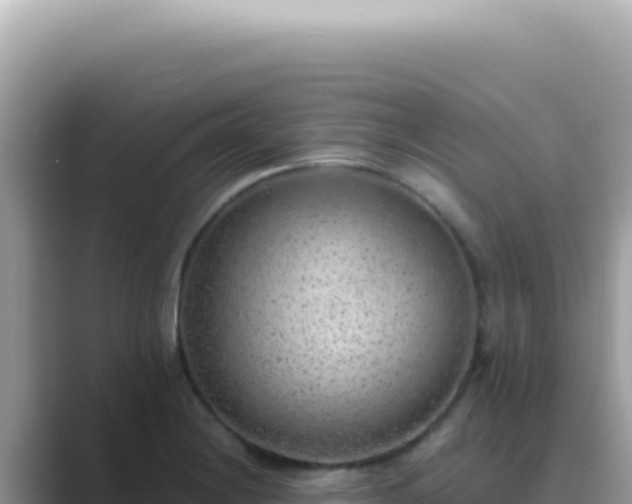 X0000089861228200707051127
