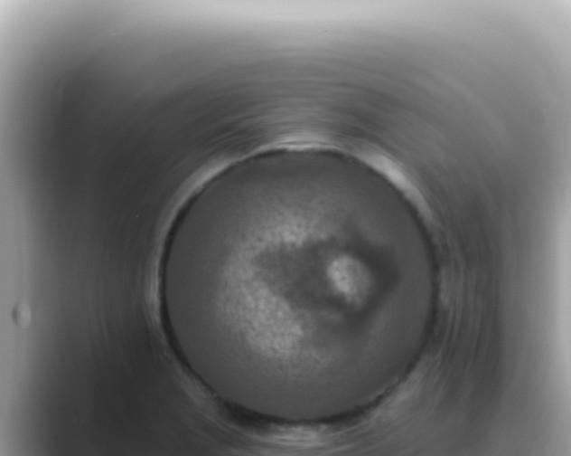 X0000089861229200707051127