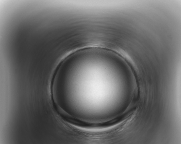X0000089861230200707051127