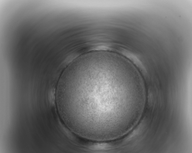 X0000089861233200707051127