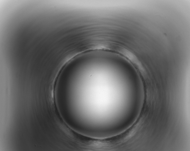 X0000089861234200707051127
