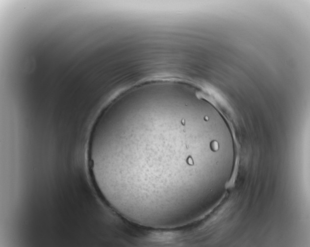X0000089861237200707051127