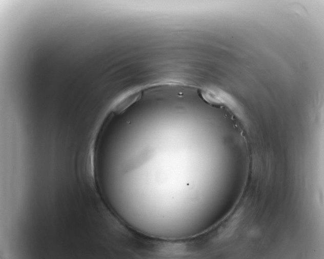 X0000089861238200707051127