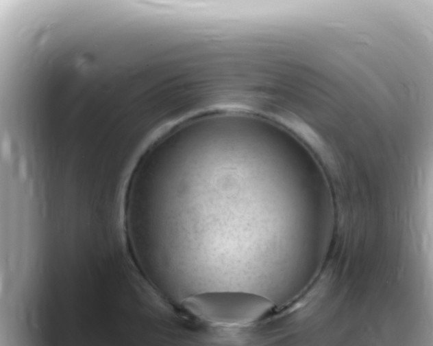 X0000089861240200707051127