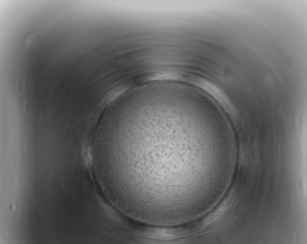 X0000089861241200707051127