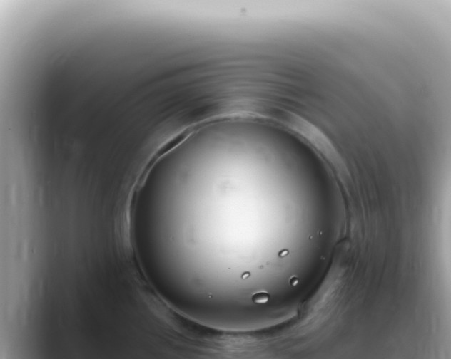 X0000089861242200707051127