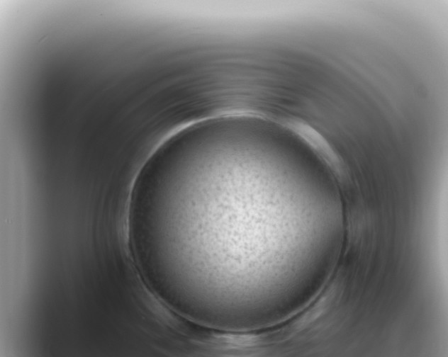 X0000089861244200707051127