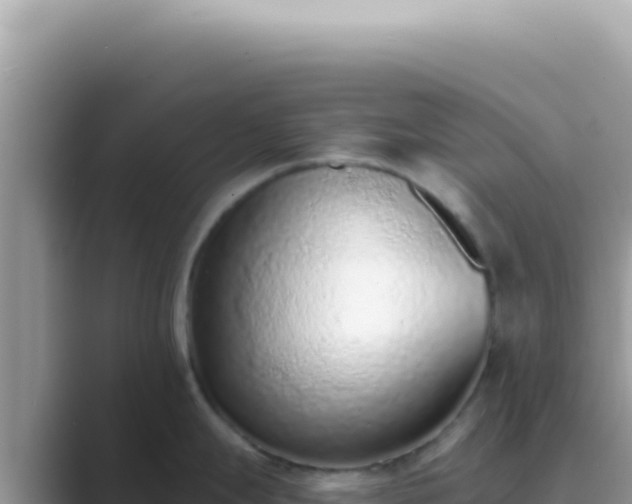 X0000089861247200707051127