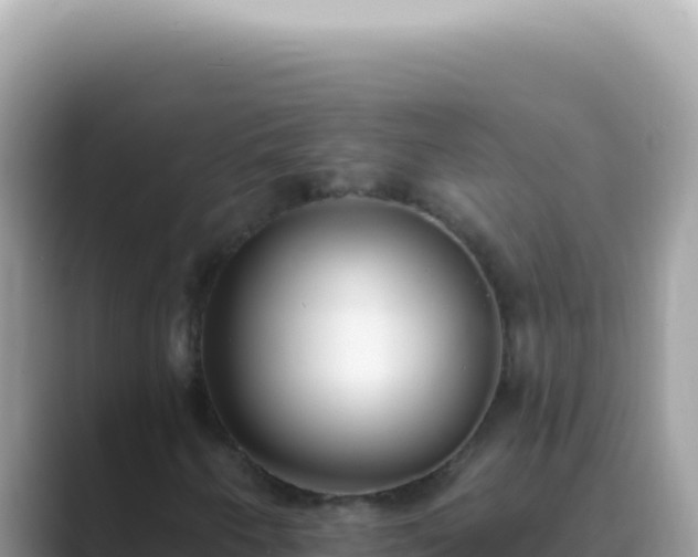 X0000089861250200707051127