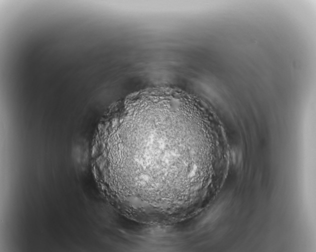X0000089861251200707051127