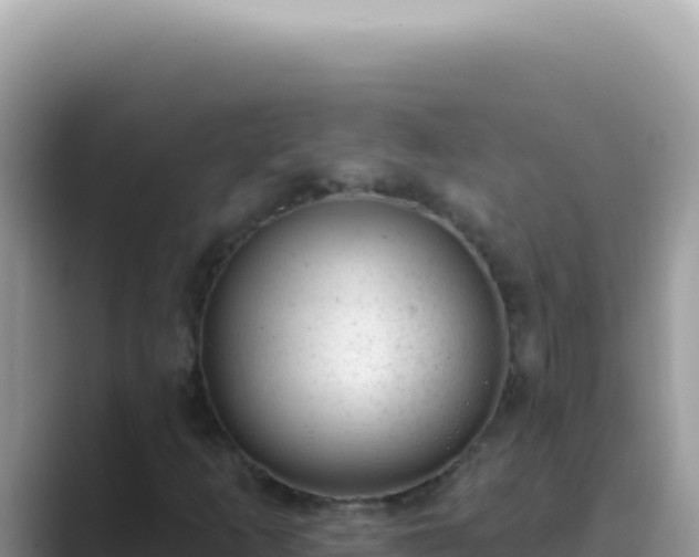 X0000089861253200707051127