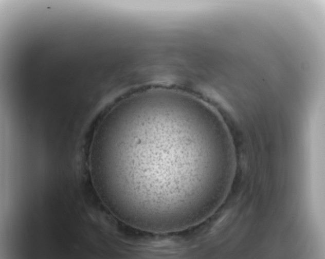 X0000089861256200707051127