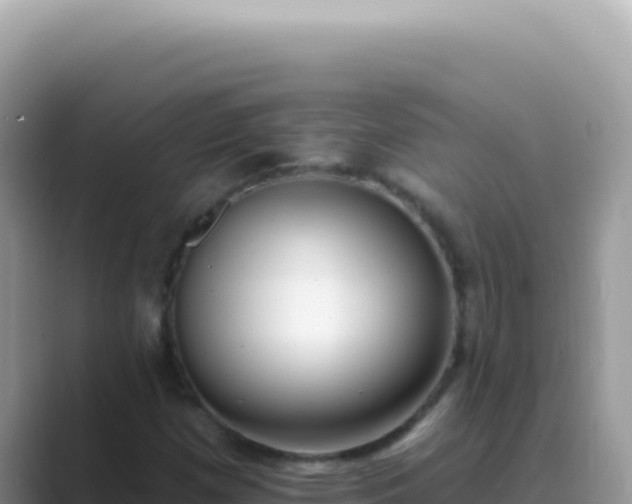 X0000089861257200707051127
