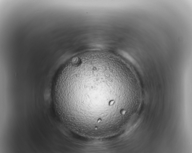 X0000089861259200707051127