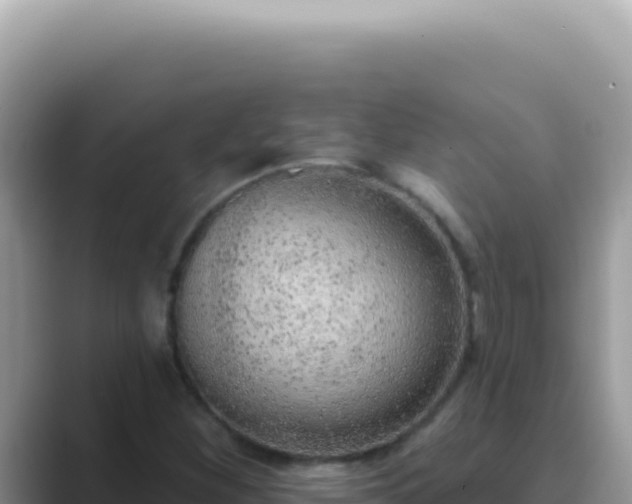 X0000089861260200707051127