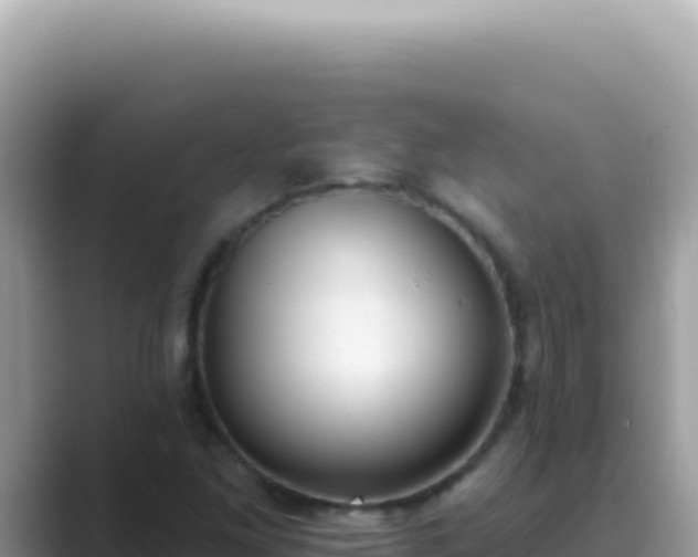 X0000089861261200707051127
