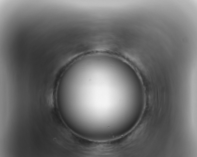 X0000089861262200707051127