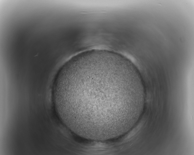 X0000089861263200707051127