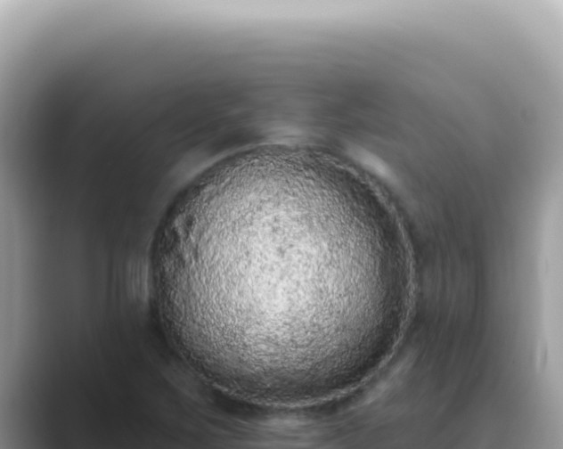 X0000089861267200707051127