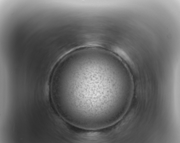 X0000089861268200707051127