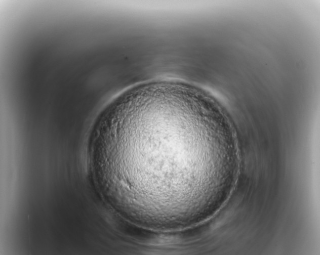 X0000089861271200707051127
