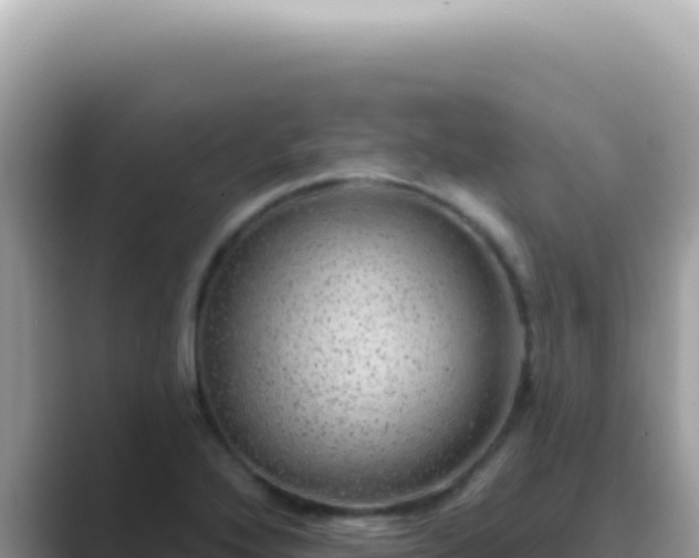 X0000089861272200707051127