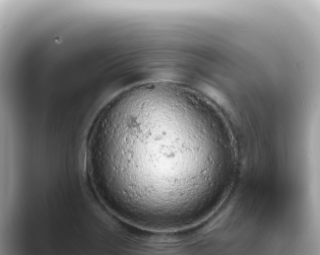 X0000089861275200707051127