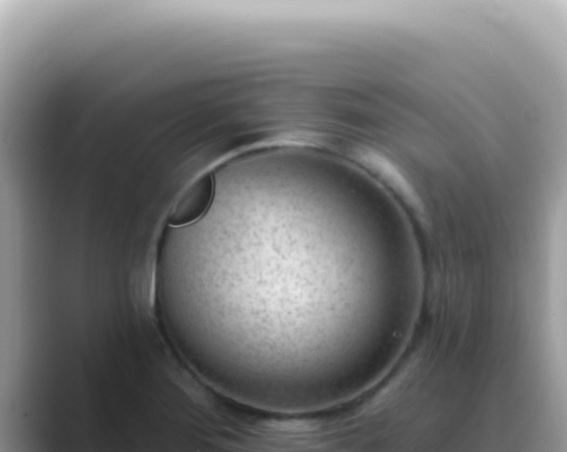 X0000089861276200707051127