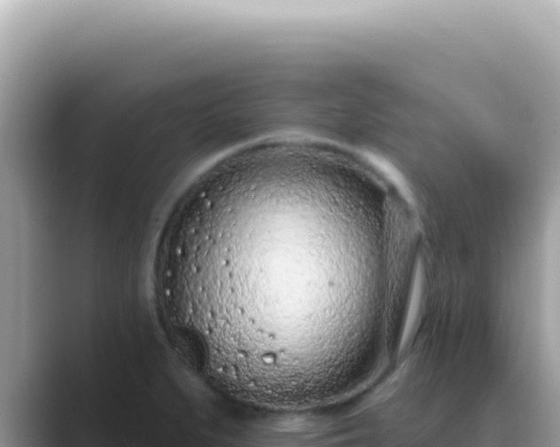 X0000089861279200707051127