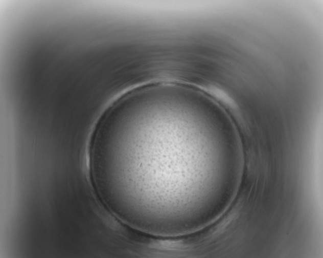 X0000089861280200707051127