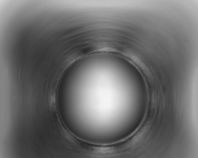 X0000089861281200707051127
