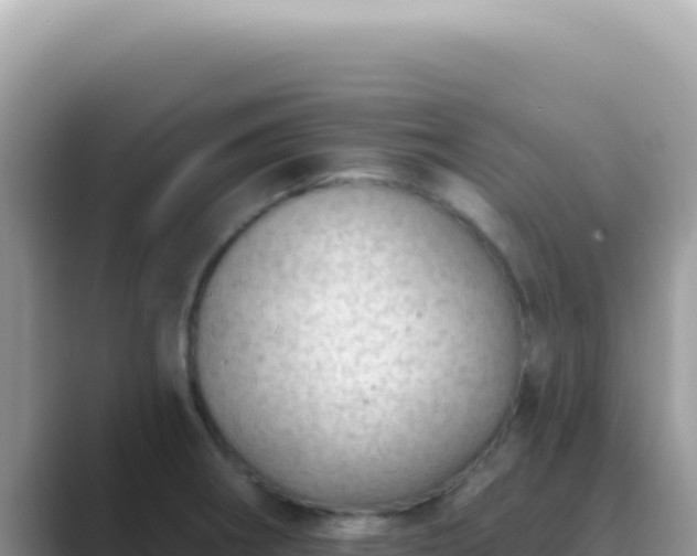X0000089861282200707051127