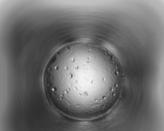 X0000089861283200707051127