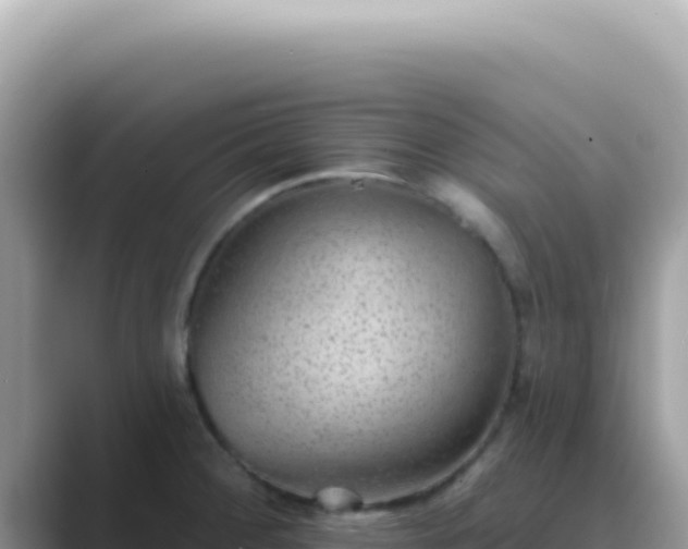 X0000089861284200707051126