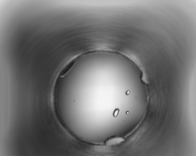 X0000089861285200707051126