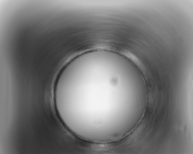 X0000089861286200707051126