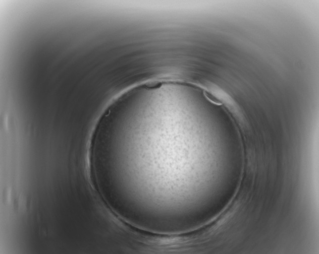 X0000089861288200707051126