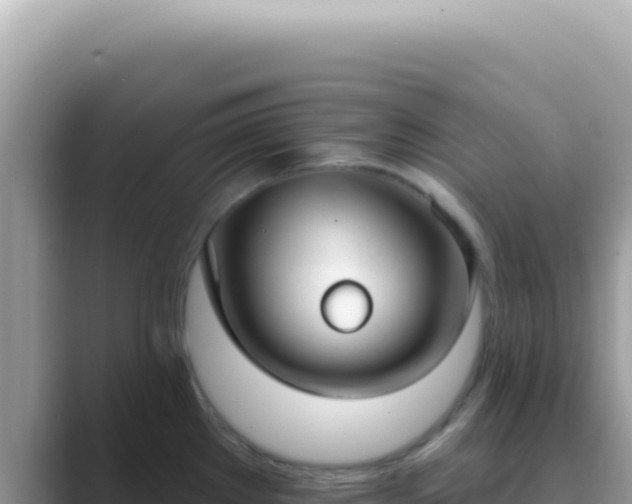 X0000089861289200707051126