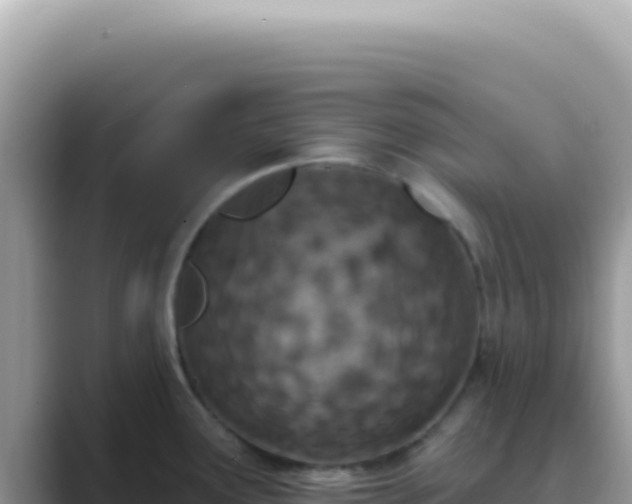 X0000089861291200707051126