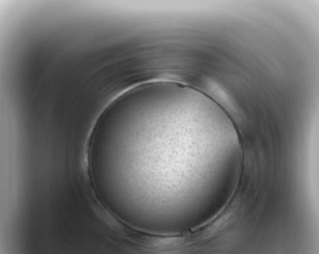 X0000089861292200707051126