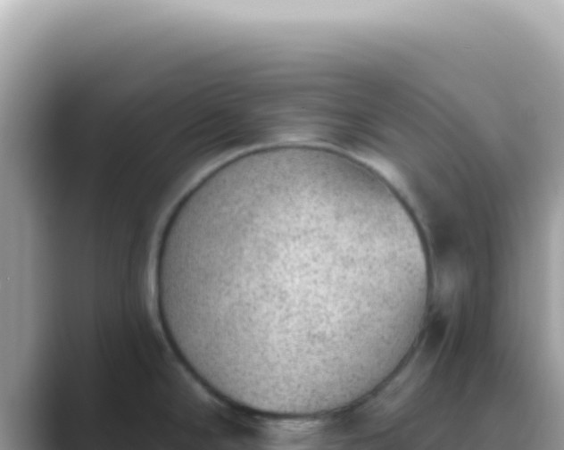 X0000089861294200707051126
