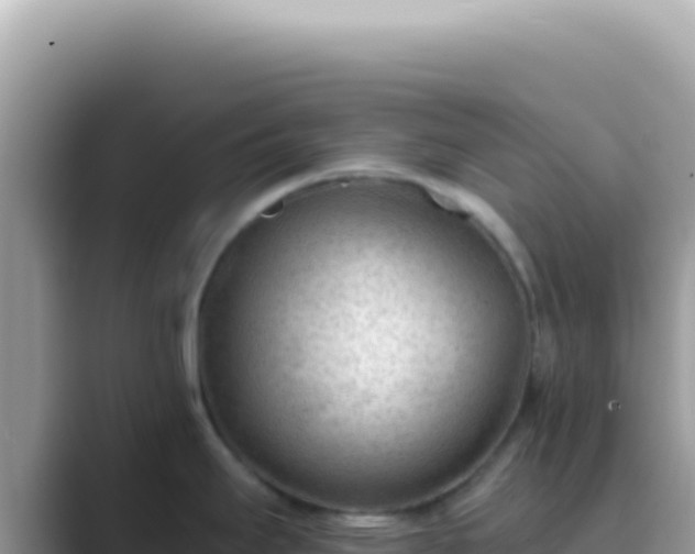 X0000089861295200707051126