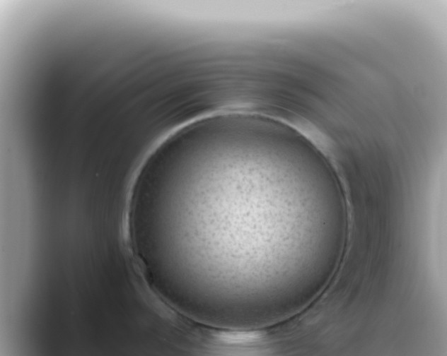 X0000089861296200707051126